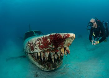 Diver comes upon an airplane with shark-decorated fuselage.
