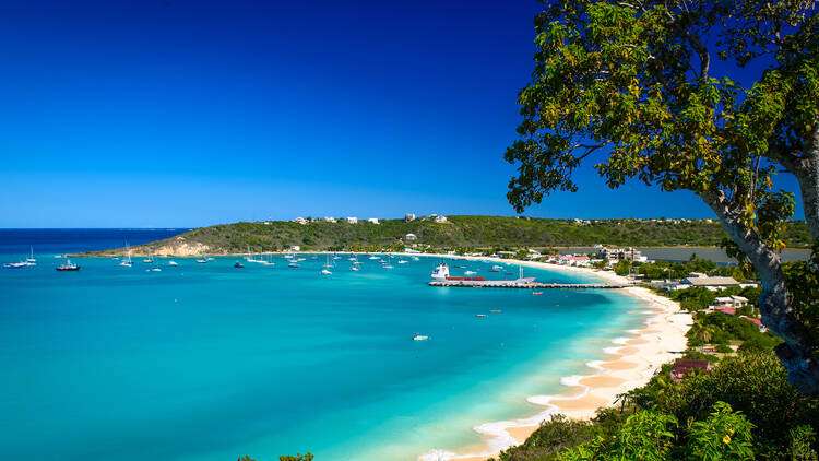 Caribbean Compass – May 2026