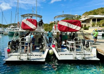 Dive BVI Turns 50: A Legacy of Adventure Beneath the Waves