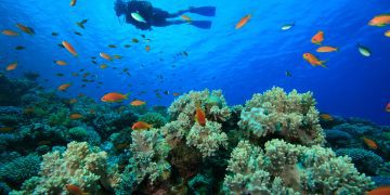 Chartering in the British Virgin Islands: A Complete Guide