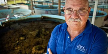 Coordinated Effort Targets Sargassum Solutions