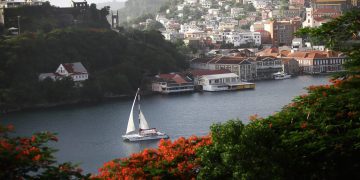 Coming Home to Grenada