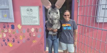 Antigua Donkeys Find a Home