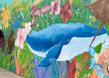 Creative Waves: Art and Imagination in the BVI